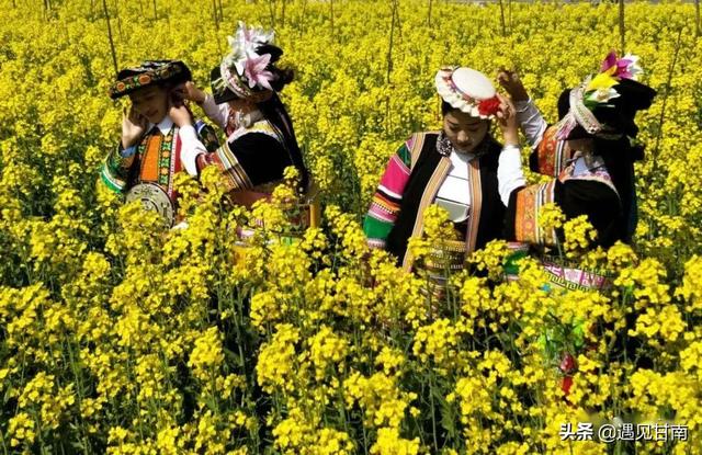 采花节是哪个民族的传统节日，体验隆重的藏族节日——菜花节