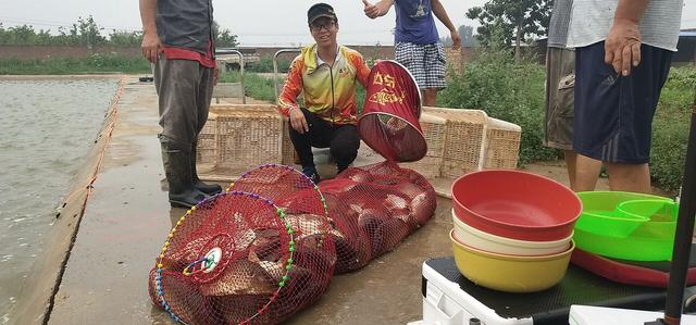我的鱼塘是什么意思，你的鱼塘啥意思（黑坑特有的“签票”和“退票”）
