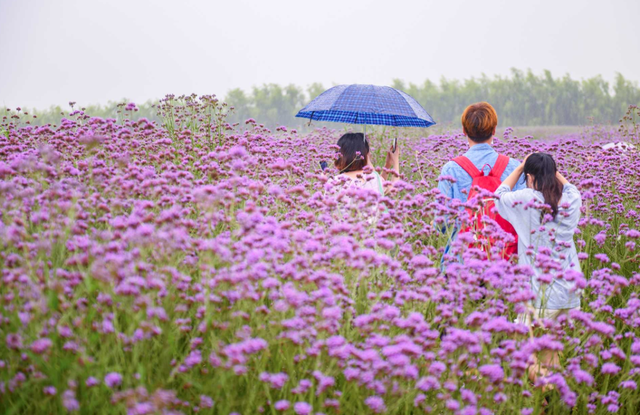 高邮湖有什么好吃的，高邮有什么好吃的饭店（探寻汪味：传统美食）