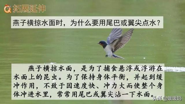 我一生中的重要抉择生字词拼音，登时的拼音（登时的拼音与意思）