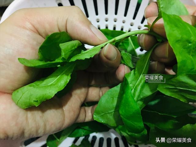 枸杞叶可以吃吗，枸杞的用处和功效（睡眠差的人要多吃枸杞叶）