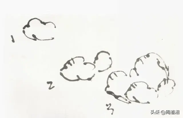 牡丹花头的画法对照表，写意牡丹花头的各种画法