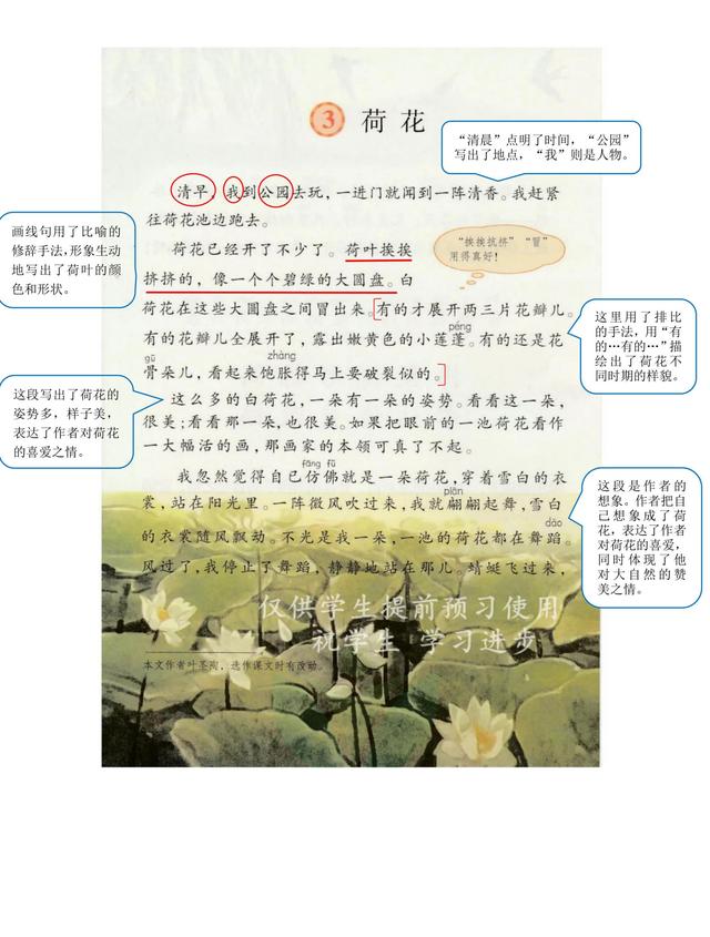 独角仙的特点是什么，独角仙的特点是什么什么,分别用了什么什么什么的方法（三年级语文下《第一单元课堂笔记》三个版本）