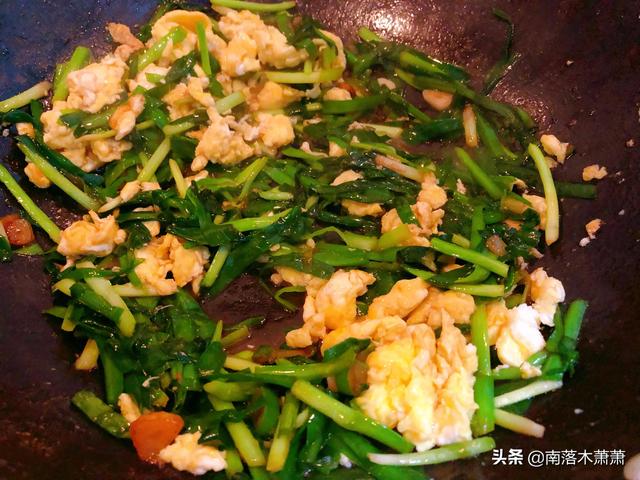 酱炒韭菜鸡蛋的家常做法，大酱韭菜炒鸡蛋的做法（家常小炒：韭菜炒鸡蛋的做法）