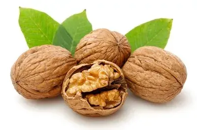 松针能生发吗，松针能治疗脱发吗（一直熬夜一直爽）