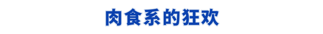 天价果冻一袋242元，果冻价格是多少钱一斤（不贴秋膘的秘诀看这篇）