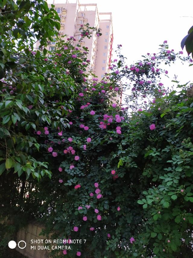 书信的格式怎么写，书信格式怎么写（书信的书写格式）