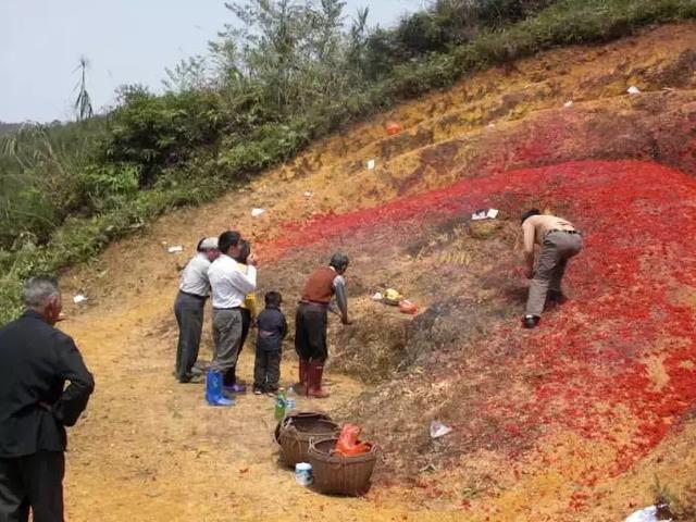 为什么客家人的清明节不去拜山，客家拜山祭祖（为什么客家人要在中秋前后扫墓祭祖）