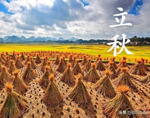 立秋是什么时候，2021年立秋是什么时候（今年立秋是“热暑秋”）