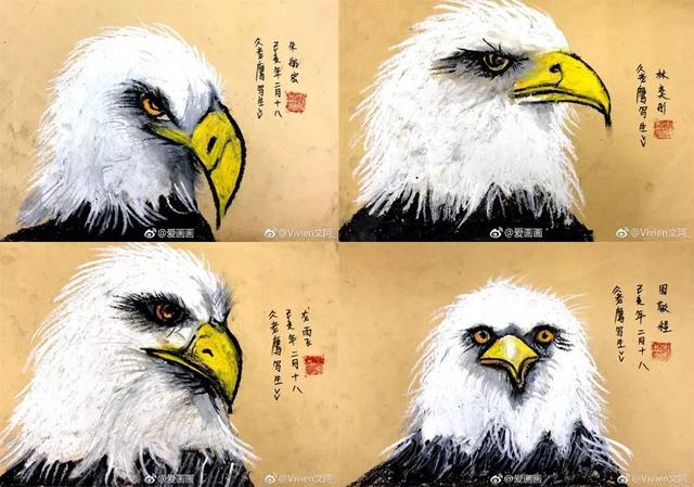 老鹰的眼睛的特点，老鹰的眼睛像什么一样锐利（油画棒色彩练习画雄鹰）