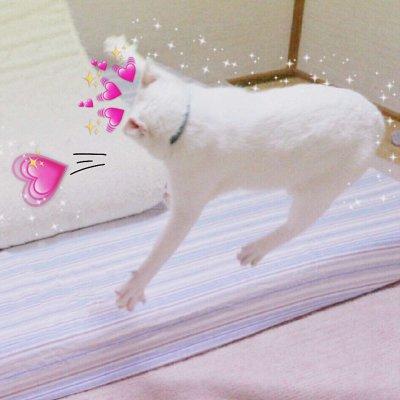 逗比头像，搞笑情头！！微信，逗比头像，搞笑情头！！（2019搞笑一左一右动物情侣微信头像）