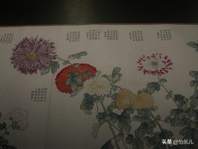 葩的读音（葩怎么读，葩是什么意思（金佛座、搓粉妆、绶带紫、鹤头丹）