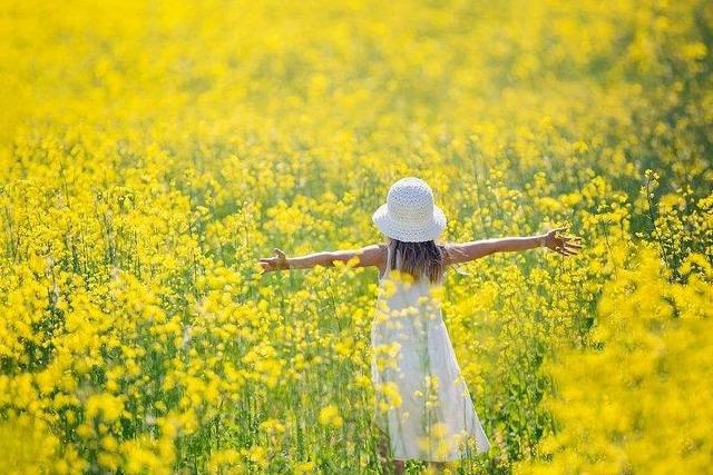 春天古诗25首简单的，关于春天的25首简单古诗有哪些（在诗韵中遇见最美的春天）