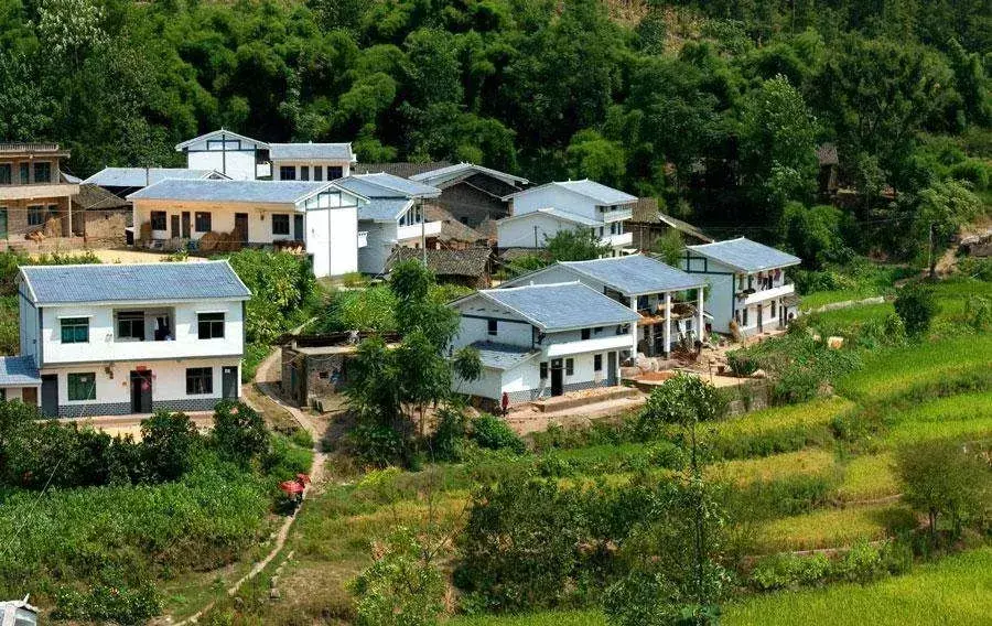 宅基地法律知识大全（宅基地）