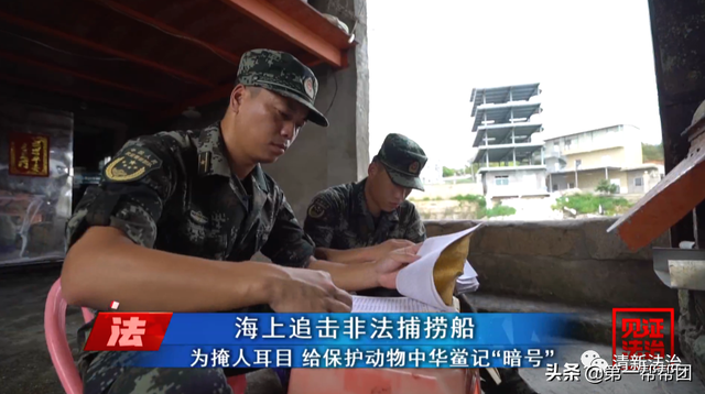 鲎是保护动物吗，鲎是保护动物吗为啥（休渔期非法捕捞国家保护动物中华鲎）