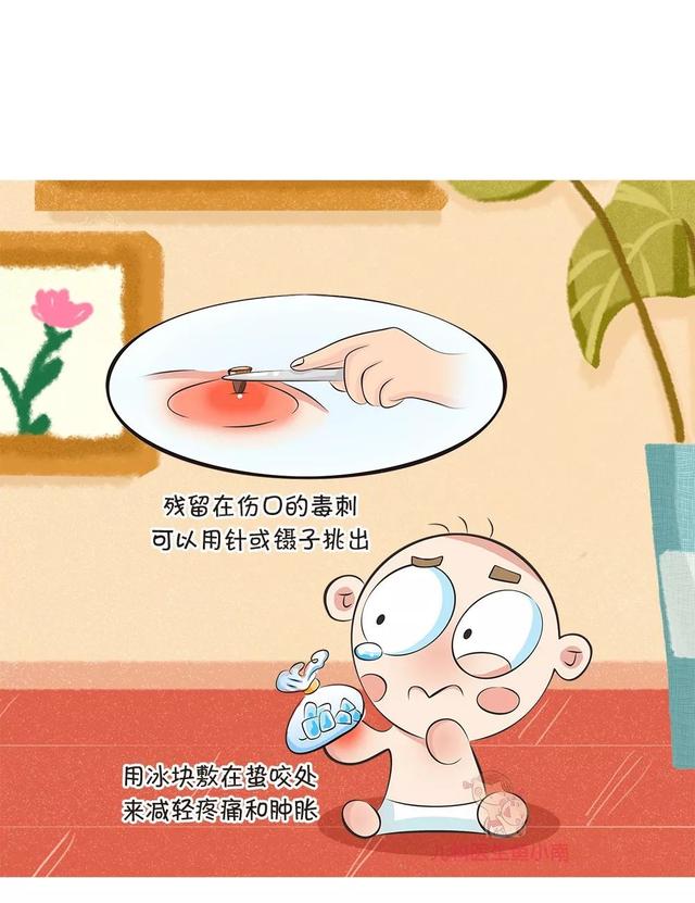 被蜂蜇了怎么办，蜂子蛰了怎样止痒（一文读懂蜂蛰伤）