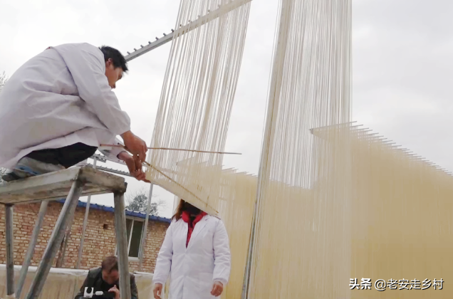 如何制作纯手工挂面，怎样制作手工挂面（实拍三阳手工挂面的制作过程）