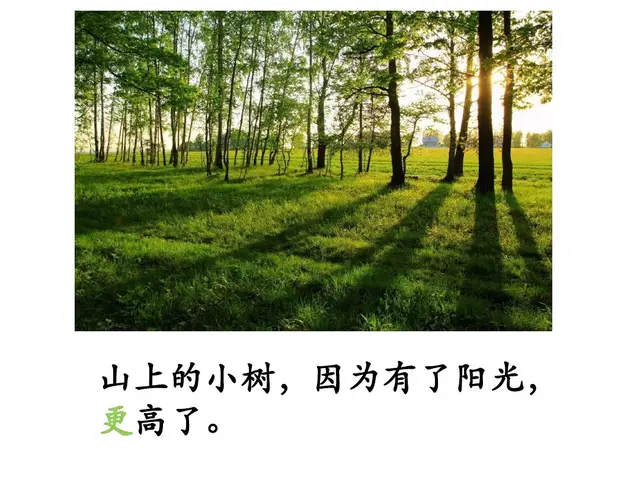 纯洁的反义词，轻盈光滑高傲纯洁的反义词（部编版一年级下册《语文园地二》+和大人一起读《阳光》知识点）