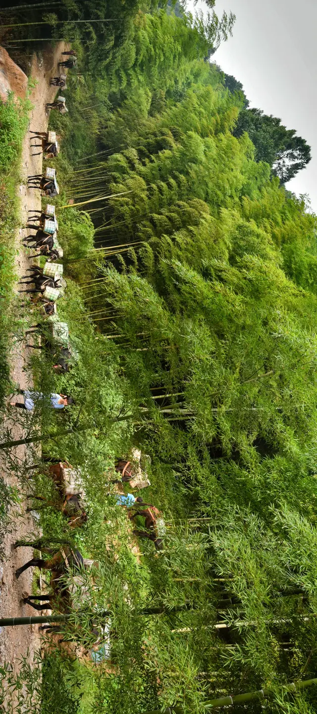 湖州市的湖叫什么，湖州市的湖叫什么 新闻（中间还有一个最美的湖州）