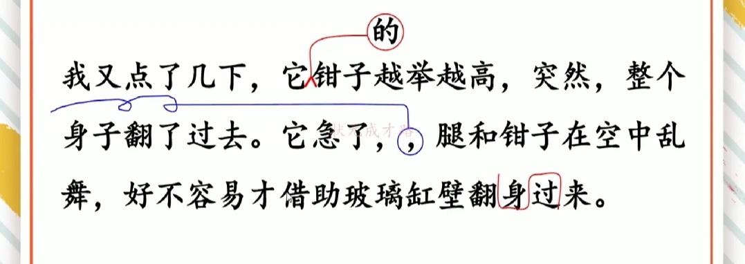 修改病句添加符号怎么画三年级（三年级用修改符号修改的句子）