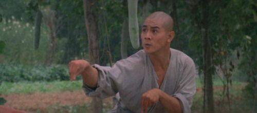 少林小子演员名单，少林小子演员表（少林小子演员表李连杰）