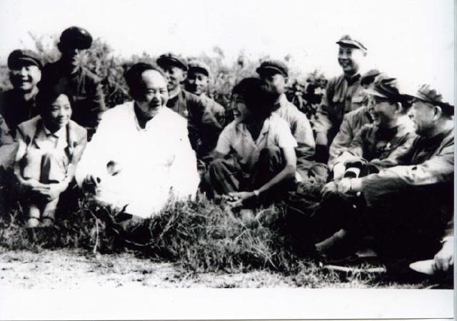 朗诵七律有所思作品声情并茂，毛主席写的《七律•有所思》赏析