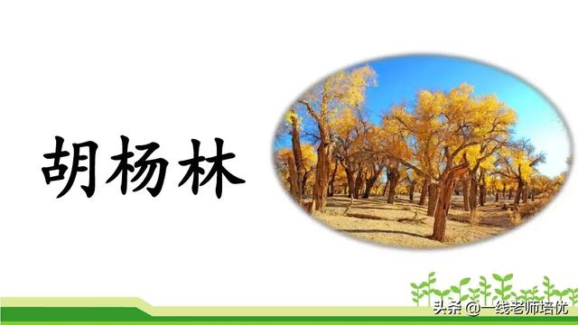 什么的骏马填空成语，什么的骏马填合适的成语（部编版小学语文二年级上册《语文园地七》重点知识+图文解读）