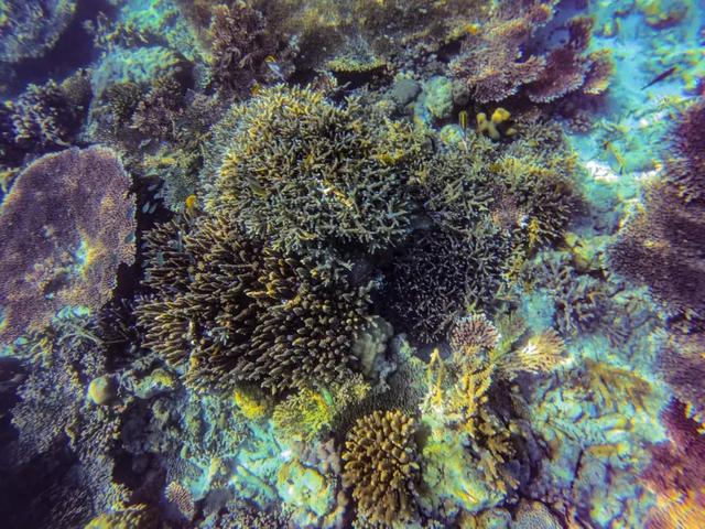 仙本那是哪个国家，仙本那 民族（这里有份攻略请收藏）