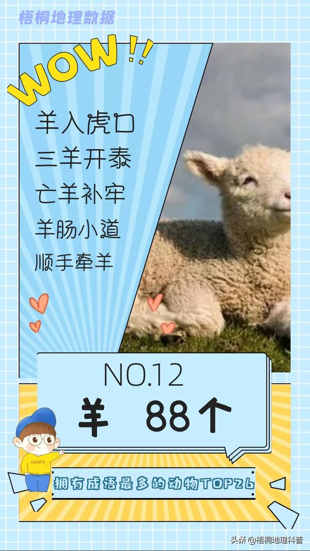 关于猫的词语有多少个，关于猫的词语有多少个词语（盘点哪种动物拥有的成语最多）