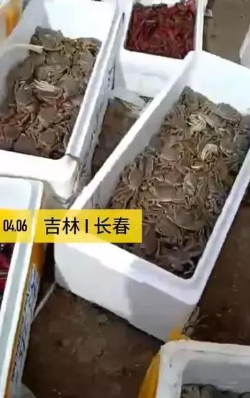 梦见龙虾预示着什么，梦见吃龙虾是什么意思（竟有如此遭遇……）