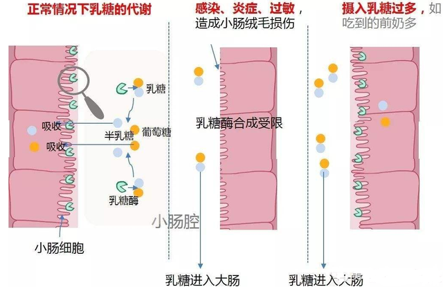 宝宝胀气如何处理，宝宝胀气 怎么办（首先要找明原因，才能对症下药）