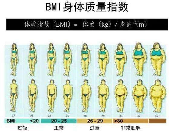 蛋白粉怎么吃效果最好，练完马上喝与两小时后再喝的惊人区别