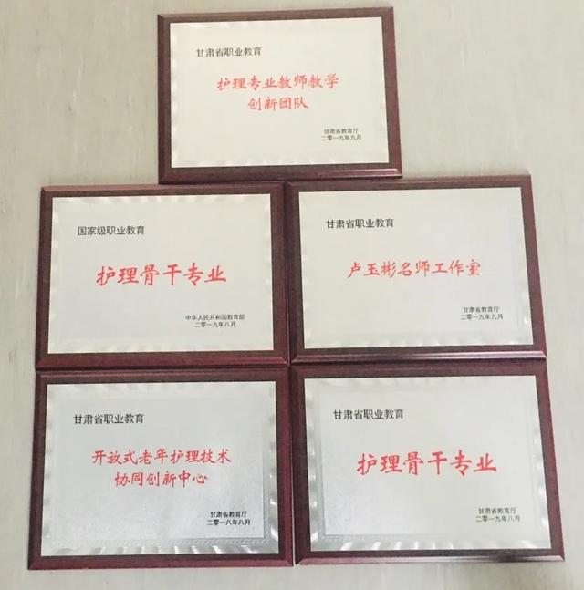 甘肃卫生职业学院，2022甘肃卫生职业学院在青海录取分数线及招生计划（甘肃卫生职业学院临床护理学院各专业介绍来啦）