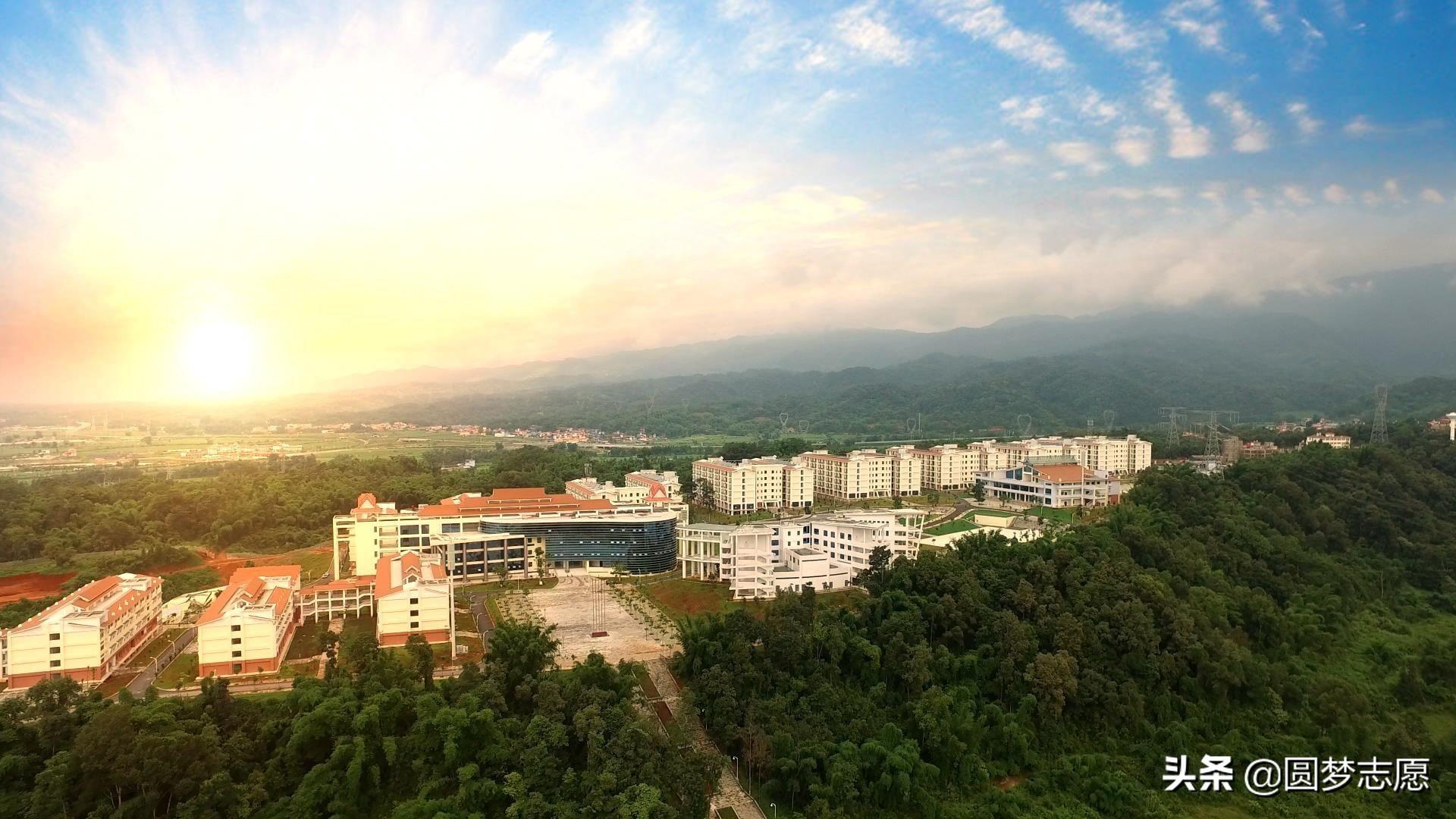 青岛专科学校有哪些（别再问专科有没有必要去读了）