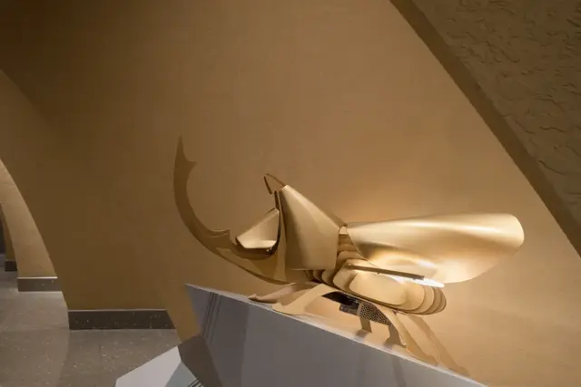 足疗店spa是什么意思，足浴店的SPA什么意思（颠覆你对足浴、SPA的认知）