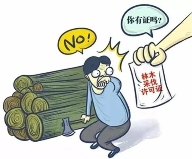 盗伐森林要承担什么后果,盗伐森林要承担严重后果(宜丰检察官提醒:砍自己种的树) 盗伐森林要承担什么后果,盗伐森林要承担严重后果(宜丰检察官提醒:砍自己种的树)