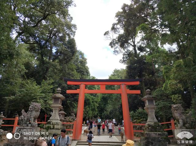 国航最高级别什么卡，国航白金卡什么级别（经济舱也能享受贵宾室、提前选座等权益）