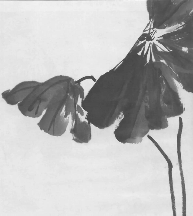 水墨画初学者入门教程，水墨画入门教程（图文教程：画水墨荷花）
