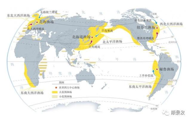 世界上有哪些渔场，世界上有几个渔场（天下“渔仓”——走进世界四大渔场）
