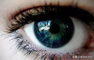 安素粉的作用与功效和禁忌，草鱼的营养价值和功效及禁忌（“口、眼、脚、手”要管好）