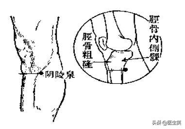 刮痧的作用和功效 刮痧是泄气还是补气，刮痧的作用和功效（湿气的故事——掌握居家健脾祛湿小妙招）