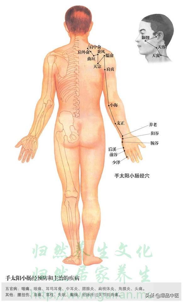 全身经络图解，全身经络图解高清大图3D（12经脉与人体362穴位详解）