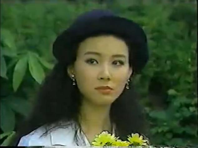 沈孟生演过的电视剧，沈孟生（8090年代中国大陆引进的台湾电视剧）