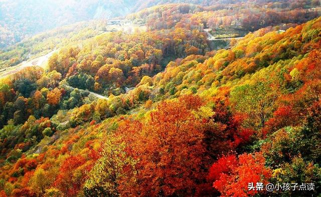 subservient的解释及subservient的例句，subservient to（表率的例句有哪些）