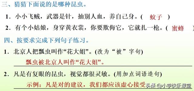 什么的硬翅，什么的硬翅？填四个字。（小学部编三年级语文下第4课《昆虫备忘录》图文+知识点+同步练习）