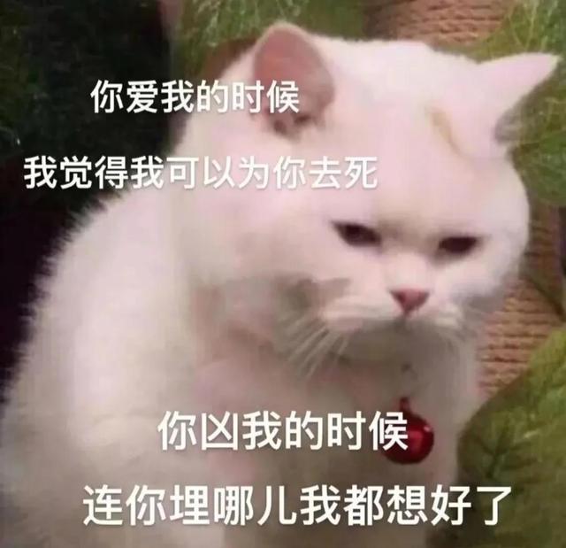 一对可爱狗狗表情包图集，情侣专用狗狗猫猫可可爱爱沙雕表情包