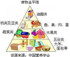 绿色饮食小窍门，正常人一天健康绿色食谱