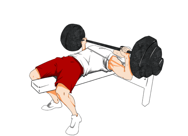 如何练胸肌之上斜哑铃推举，坐姿哑铃上斜推胸（了解上斜卧推平板卧推训练中）