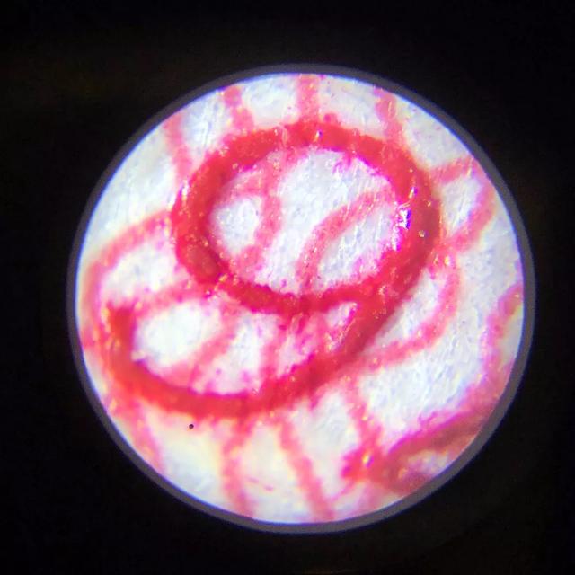 儿童科学探索显微镜，启发孩子科学探索思维