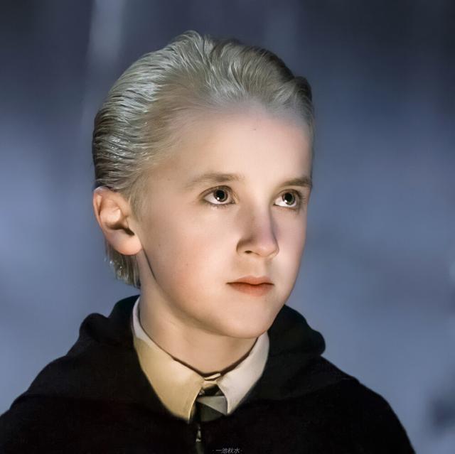 哈利波特头像女生，哈利波特魔法学院头像微信（霍格沃茨永不毕业）